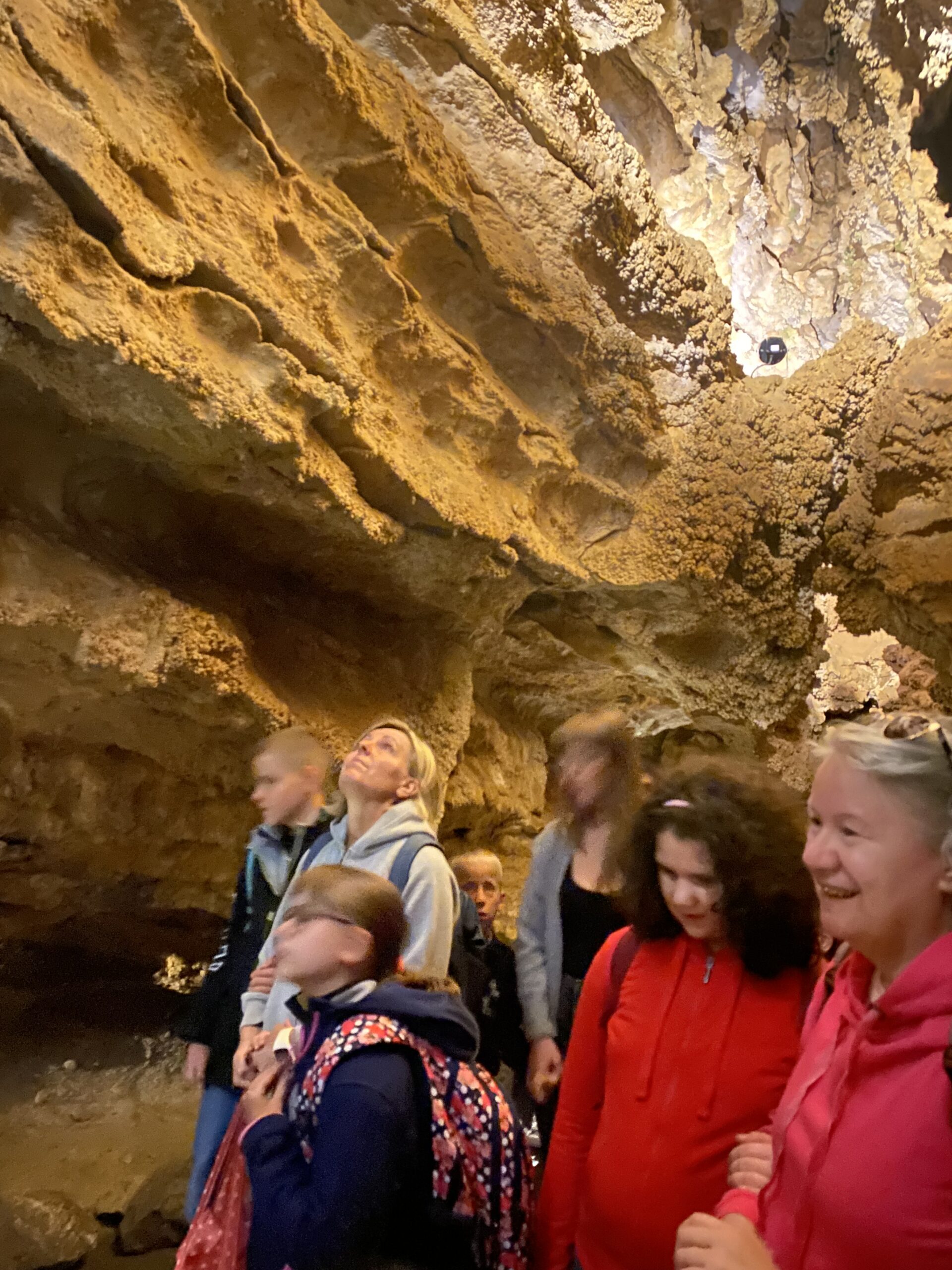 Szemlő-hegyi-barlang, 2023 szeptember 28.
